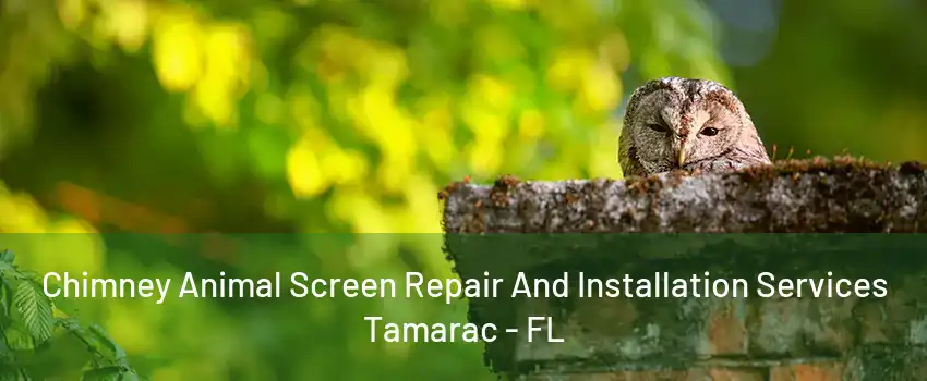 Chimney Animal Screen Repair And Installation Services Tamarac - FL