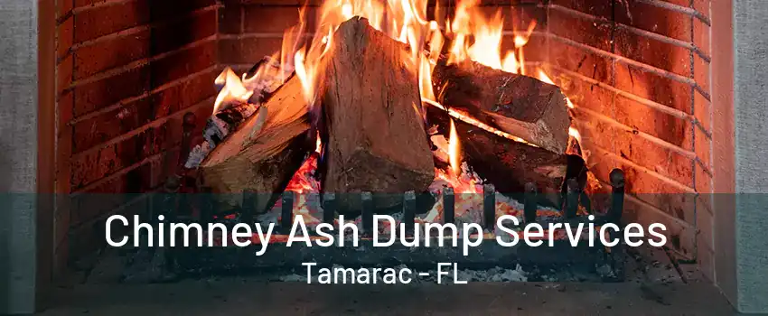 Chimney Ash Dump Services Tamarac - FL