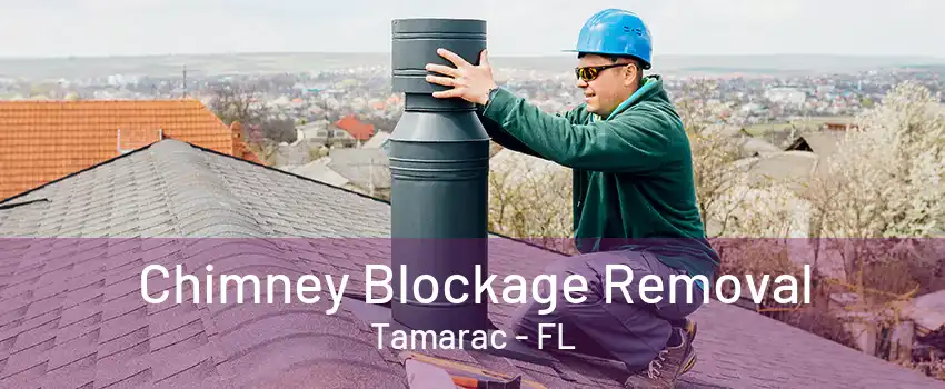 Chimney Blockage Removal Tamarac - FL