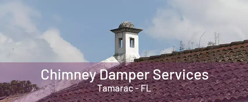 Chimney Damper Services Tamarac - FL