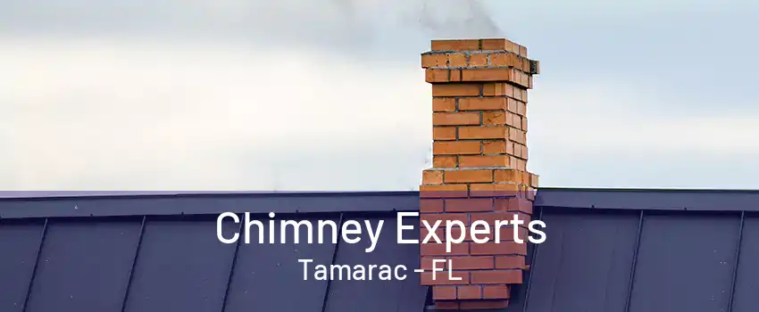 Chimney Experts Tamarac - FL