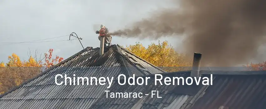 Chimney Odor Removal Tamarac - FL