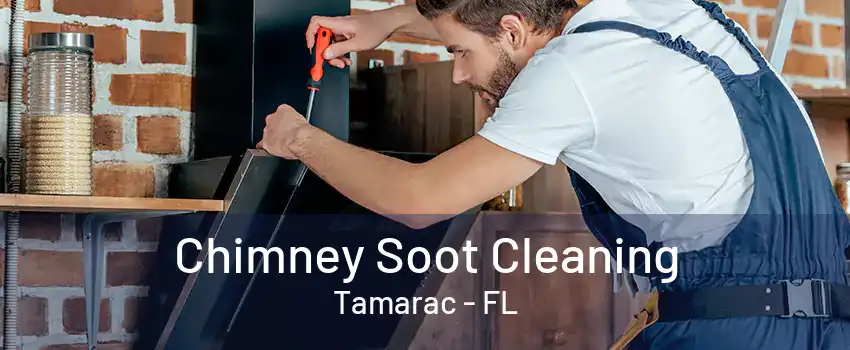 Chimney Soot Cleaning Tamarac - FL