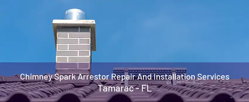 Chimney Spark Arrestor Repair And Installation Services Tamarac - FL