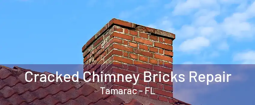 Cracked Chimney Bricks Repair Tamarac - FL