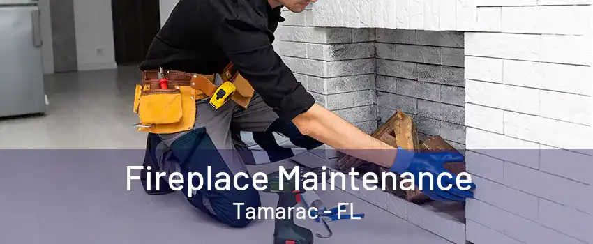 Fireplace Maintenance Tamarac - FL