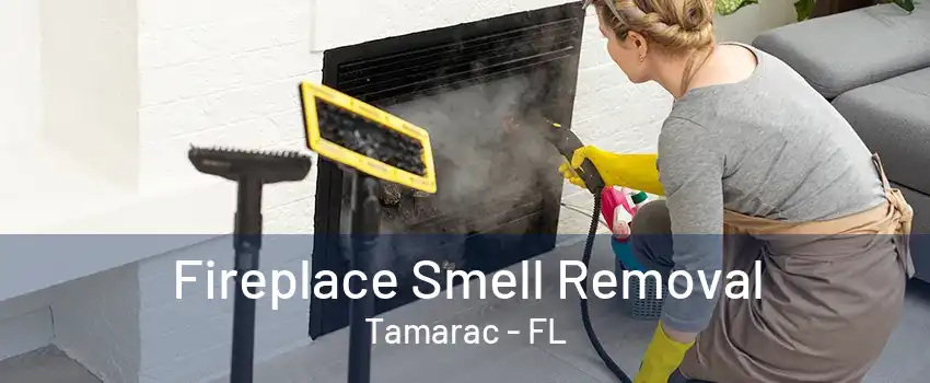 Fireplace Smell Removal Tamarac - FL