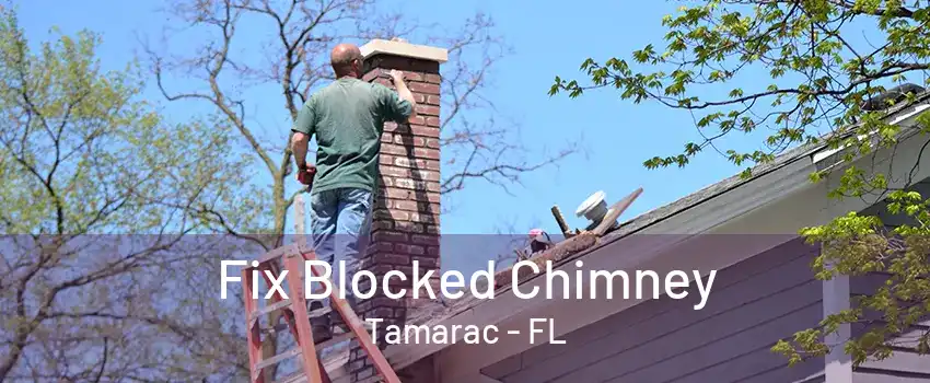 Fix Blocked Chimney Tamarac - FL