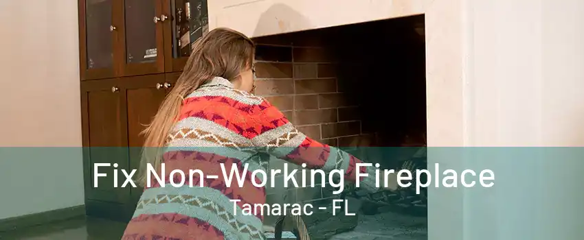 Fix Non-Working Fireplace Tamarac - FL