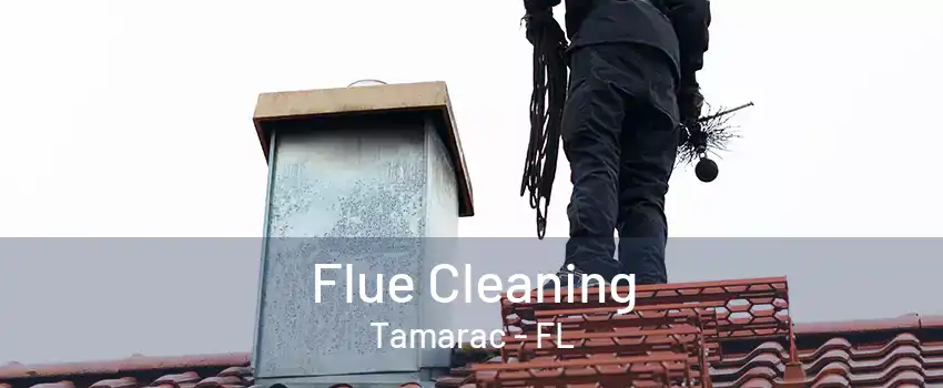 Flue Cleaning Tamarac - FL