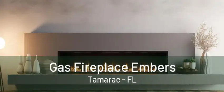 Gas Fireplace Embers Tamarac - FL