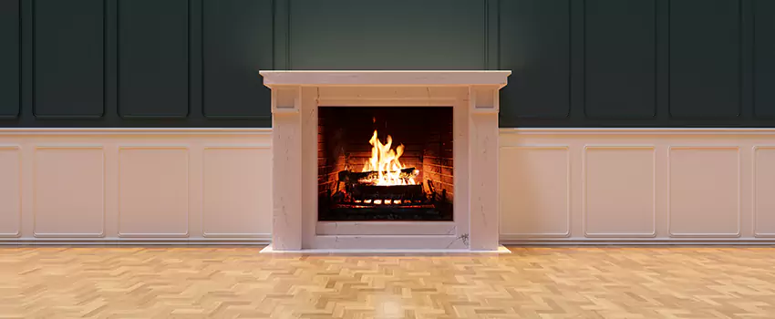 Napoleon Electric Fireplaces Inspection Service in Tamarac, Florida