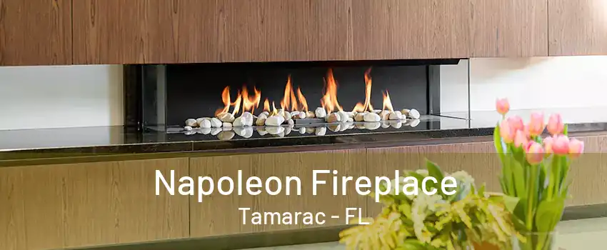 Napoleon Fireplace Tamarac - FL